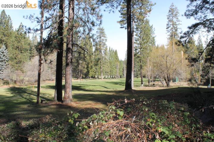 22860 Fuller Road Twain Harte, CA 95383 - Photo 38 of 44