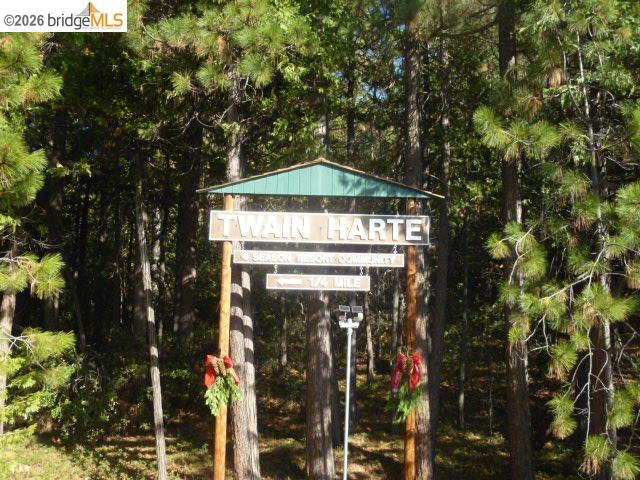 22860 Fuller Road Twain Harte, CA 95383 - Photo 44 of 44