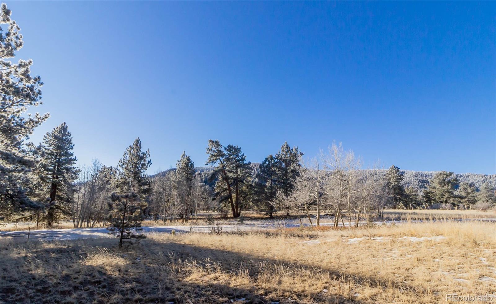 169 Pine Forest Road Lake George, CO 80827 - Photo 1 of 8 Gallery Image 1