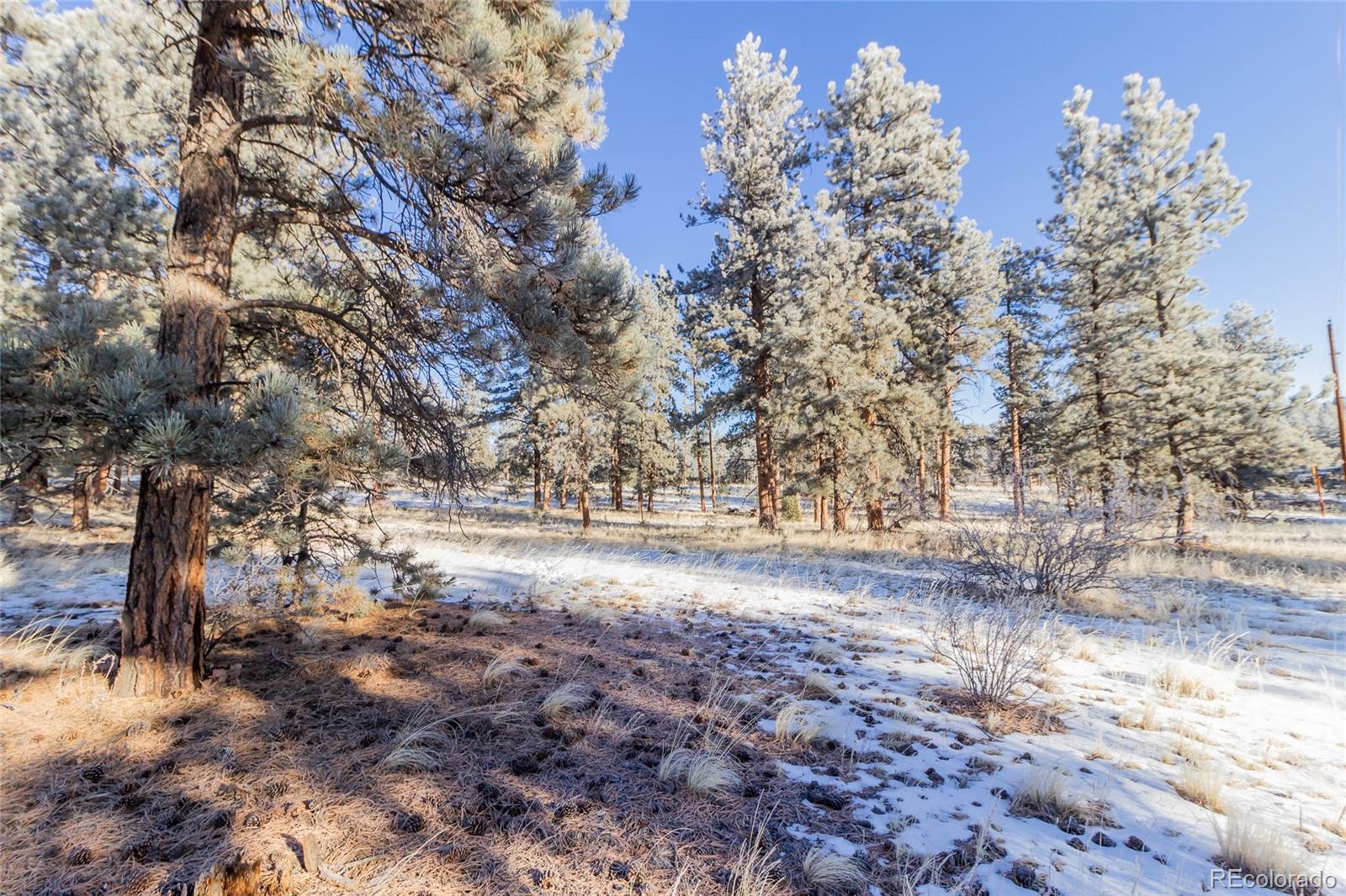 169 Pine Forest Road Lake George, CO 80827 - Photo 3 of 8 Gallery Image 3