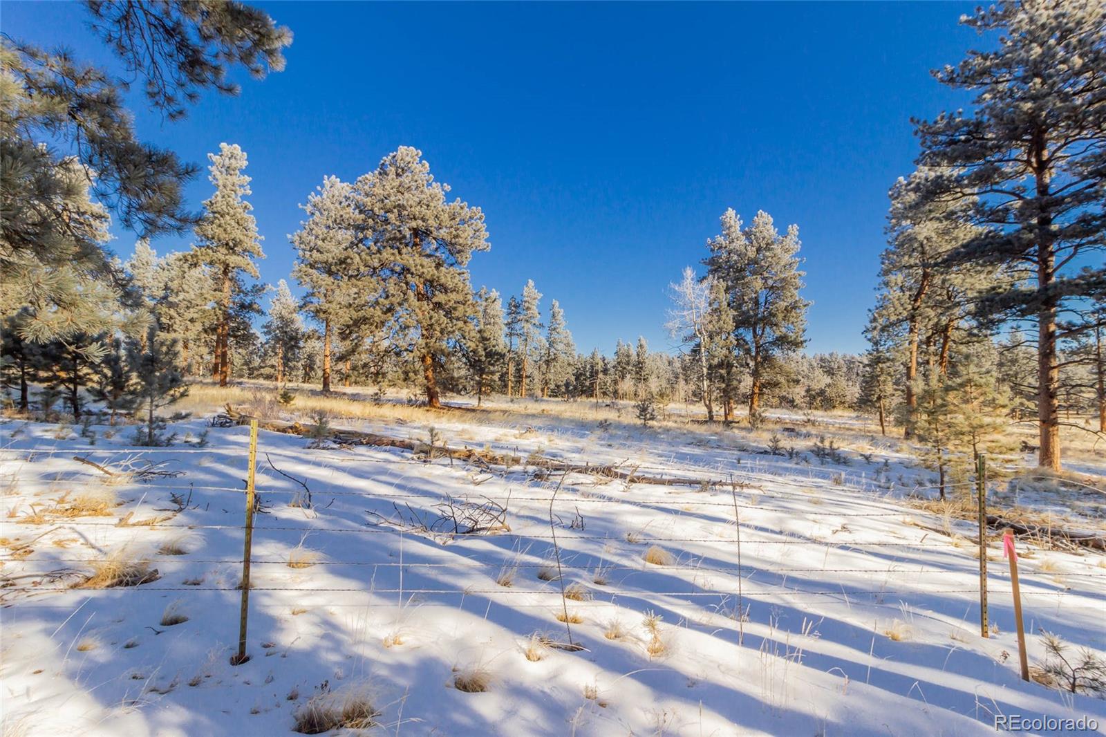 169 Pine Forest Road Lake George, CO 80827 - Photo 4 of 8 Gallery Image 4