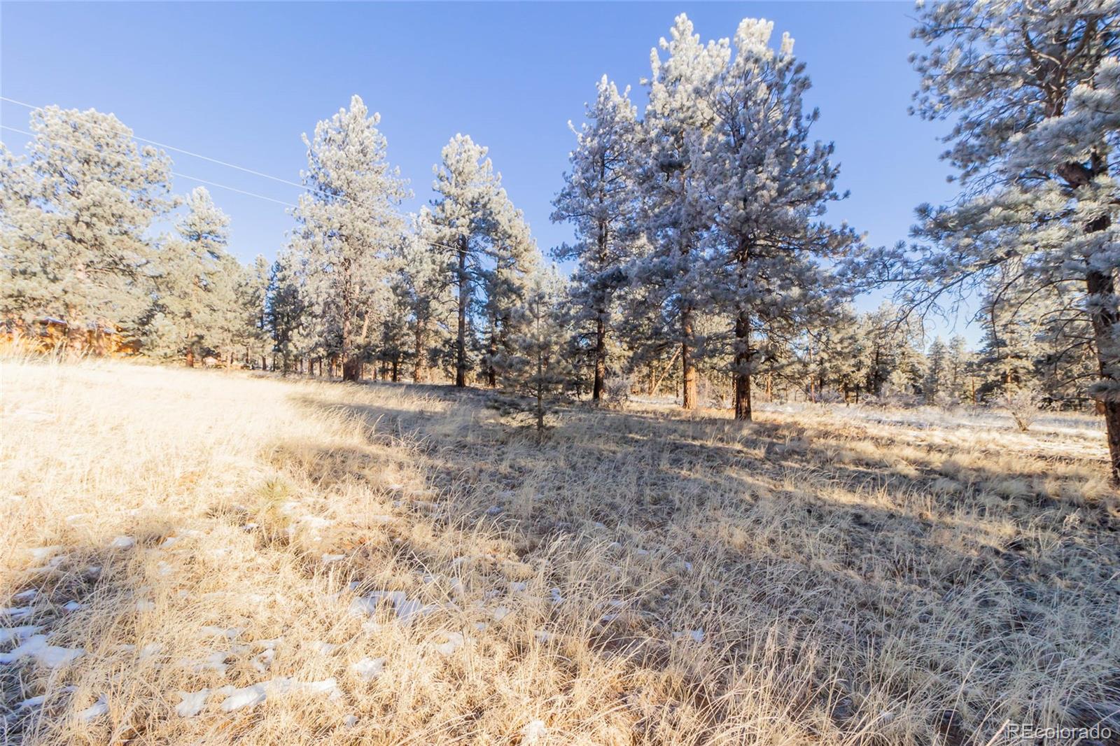 169 Pine Forest Road Lake George, CO 80827 - Photo 5 of 8 Gallery Image 5