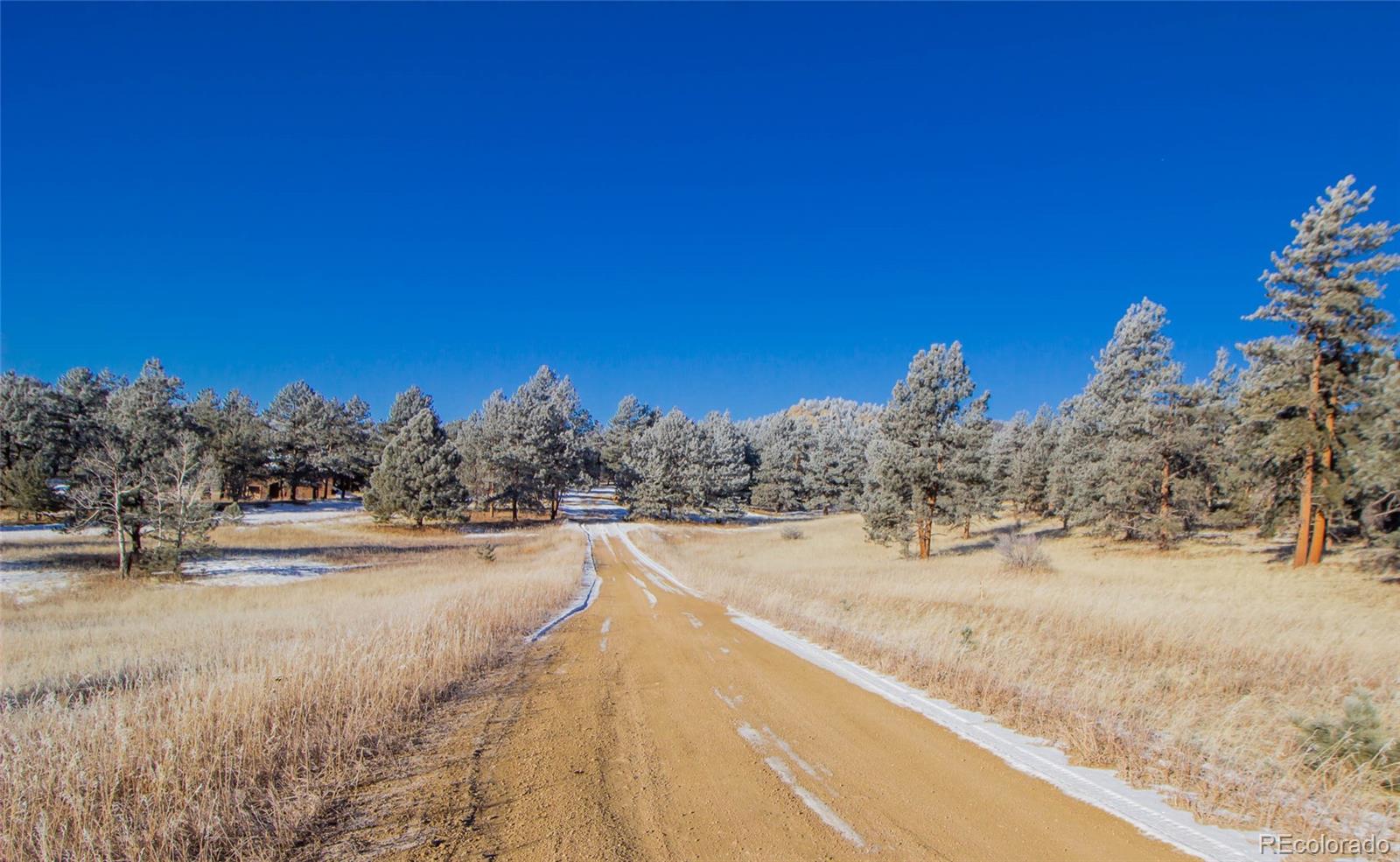169 Pine Forest Road Lake George, CO 80827 - Photo 6 of 8 Gallery Image 6