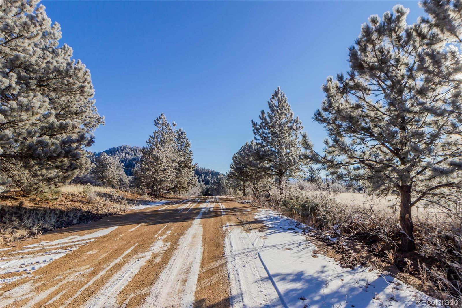 169 Pine Forest Road Lake George, CO 80827 - Photo 7 of 8 Gallery Image 7