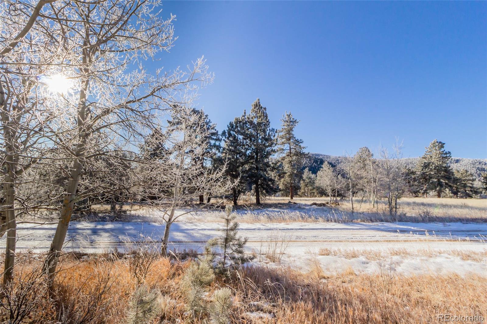 169 Pine Forest Road Lake George, CO 80827 - Photo 8 of 8 Gallery Image 8