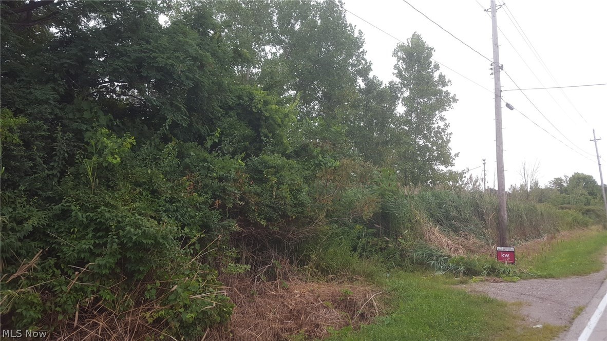 0 County Line Road Geneva, OH 44041 - Photo 6 of 11