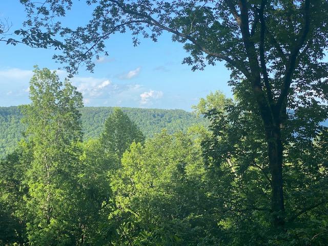 20.52 Stagecoach Road Sewanee, TN 37375 - Photo 1 of 18 IMG_1297