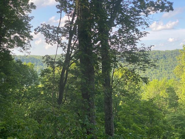 20.52 Stagecoach Road Sewanee, TN 37375 - Photo 2 of 18 IMG_1298