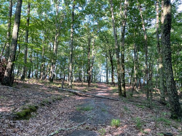 20.52 Stagecoach Road Sewanee, TN 37375 - Photo 11 of 18 IMG_1291