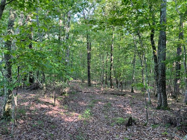 20.52 Stagecoach Road Sewanee, TN 37375 - Photo 12 of 18 IMG_1300