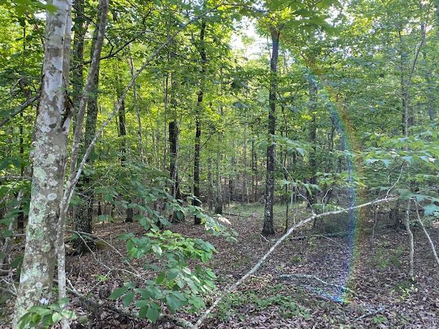 20.52 Stagecoach Road Sewanee, TN 37375 - Photo 14 of 18 IMG_1301