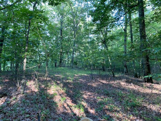 20.52 Stagecoach Road Sewanee, TN 37375 - Photo 15 of 18 IMG_1302