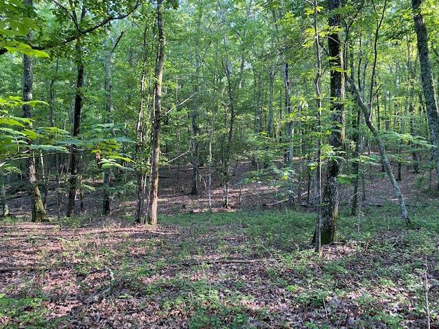 20.52 Stagecoach Road Sewanee, TN 37375 - Photo 16 of 18 IMG_1303