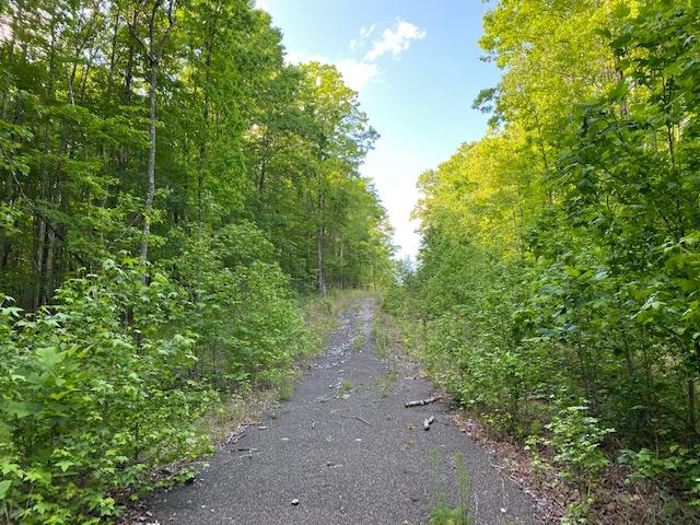20.52 Stagecoach Road Sewanee, TN 37375 - Photo 17 of 18 IMG_1283