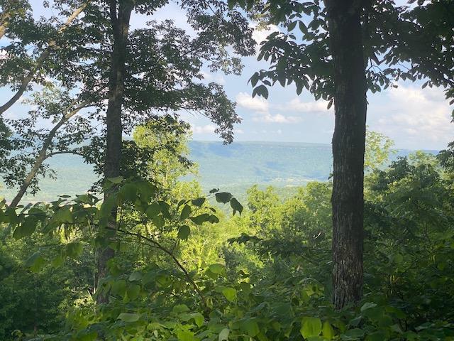 20.52 Stagecoach Road Sewanee, TN 37375 - Photo 3 of 18 IMG_1296