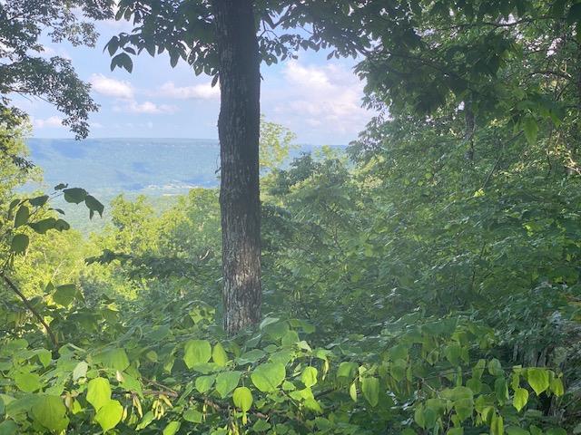 20.52 Stagecoach Road Sewanee, TN 37375 - Photo 4 of 18 IMG_1299