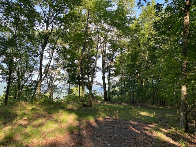 20.52 Stagecoach Road Sewanee, TN 37375 - Photo 5 of 18 IMG_1292