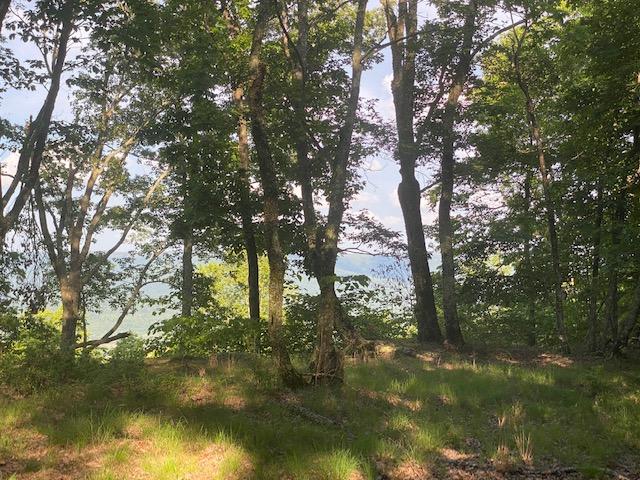 20.52 Stagecoach Road Sewanee, TN 37375 - Photo 6 of 18 IMG_1293