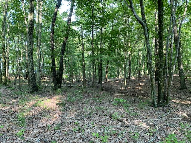 20.52 Stagecoach Road Sewanee, TN 37375 - Photo 10 of 18 IMG_1290
