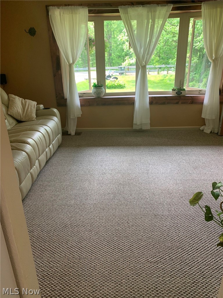 4254 John Thomas Road Diamond, OH 44412 - Photo 26 of 34 Gallery Image 26