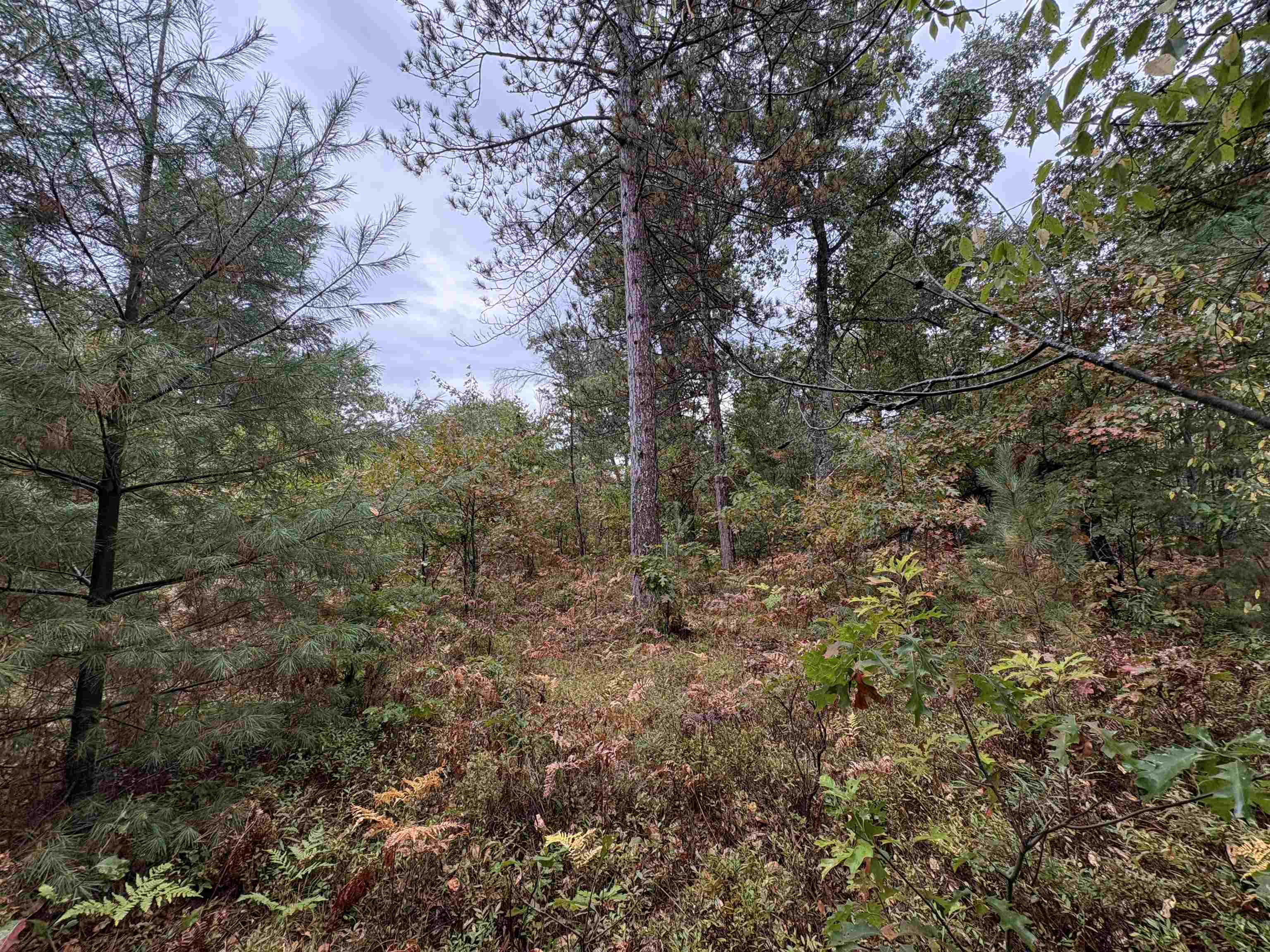 0 Hall Road Roscommon, MI 48653 - Photo 10 of 17