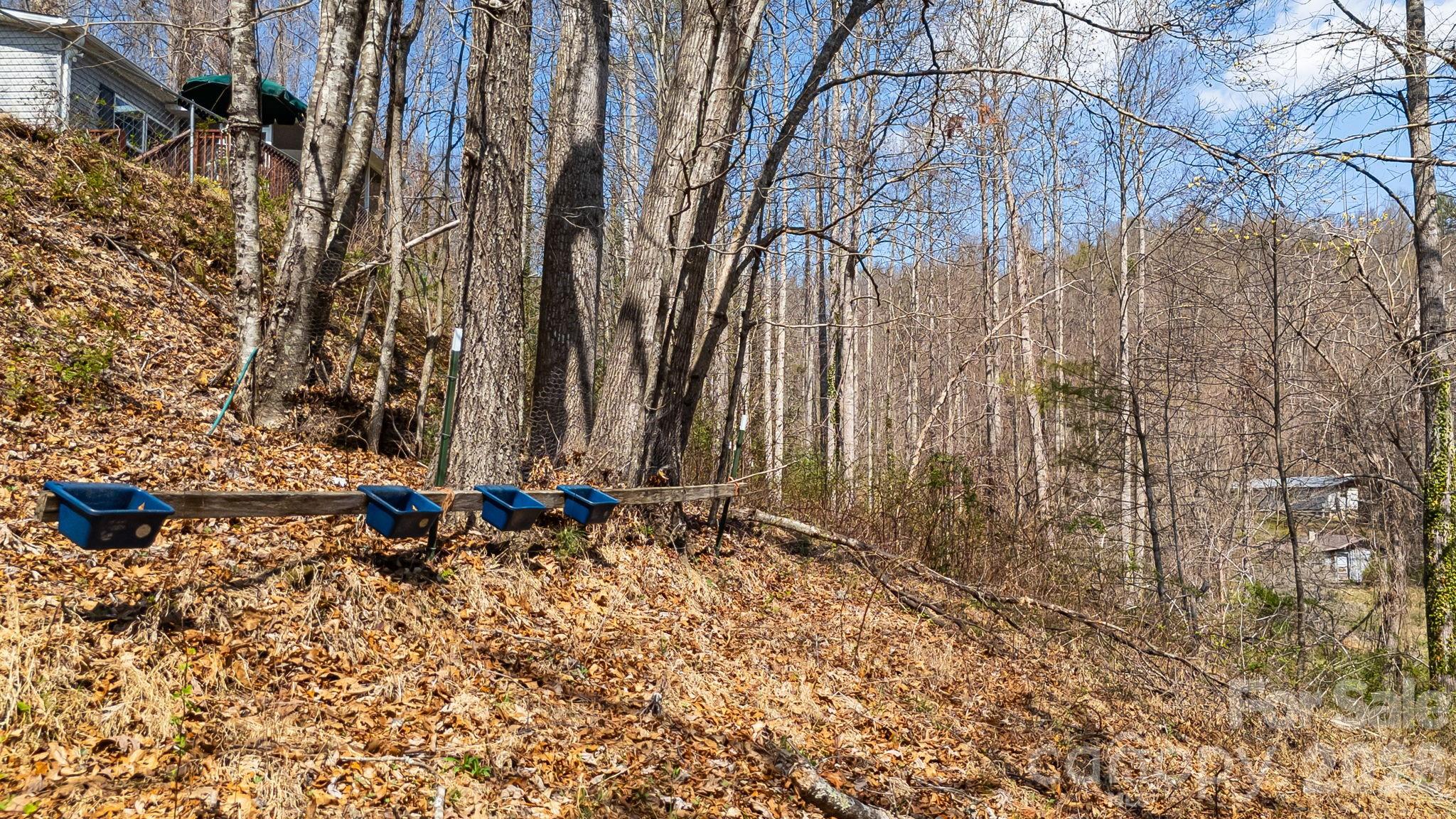 403 Youngs Gap Road Fletcher, NC 28732 - Photo 35 of 36