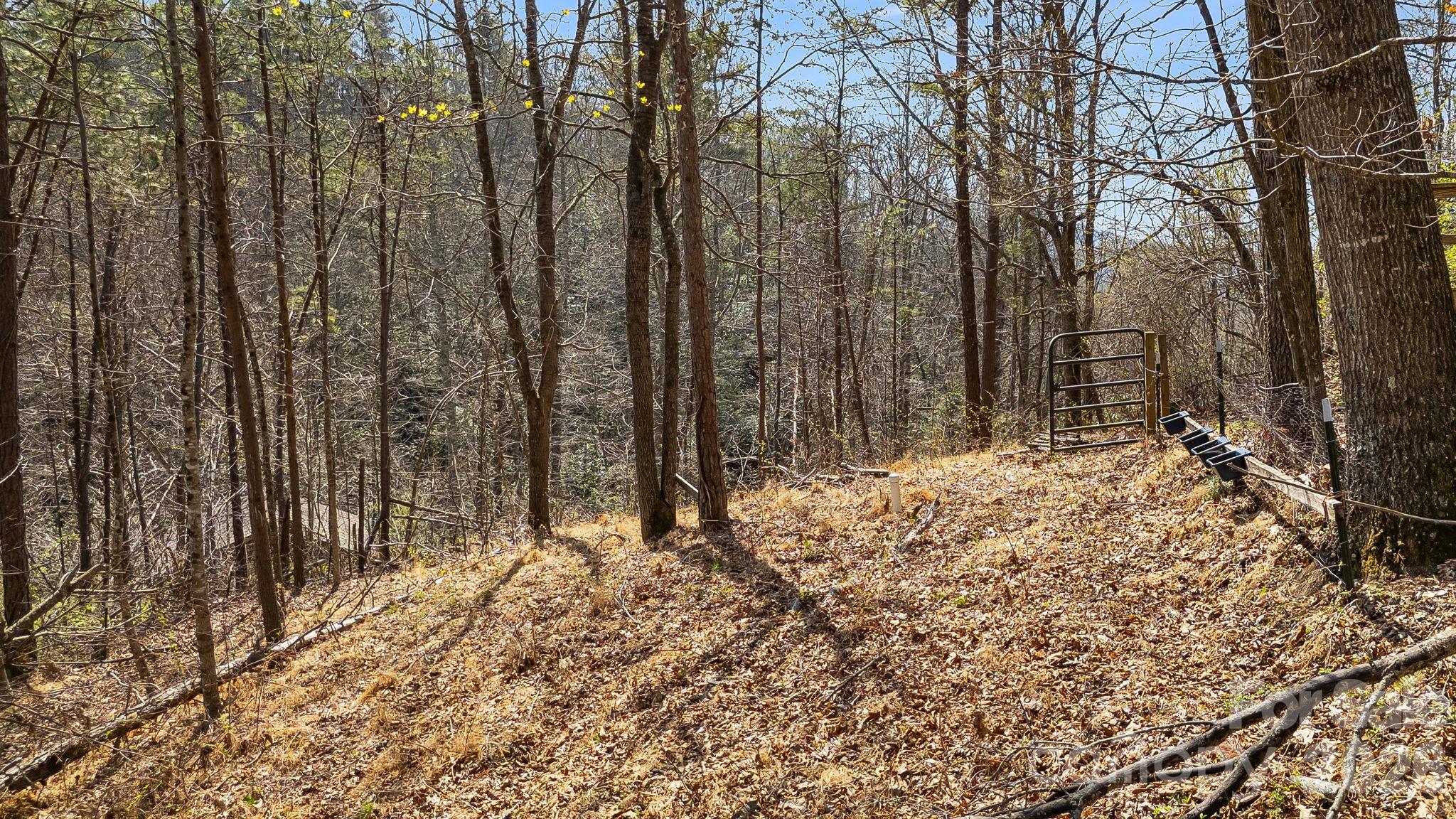 403 Youngs Gap Road Fletcher, NC 28732 - Photo 36 of 36