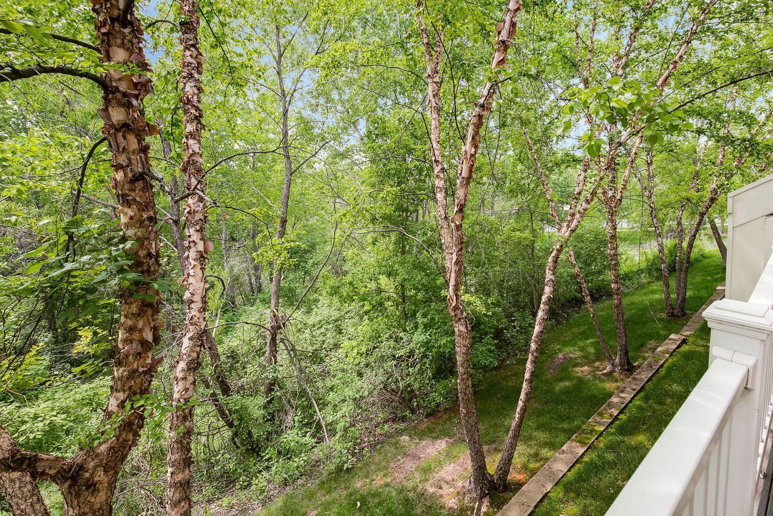 8809 Brunswick Path, Unit 1302 Inver Grove Heights, MN 55076 - Photo 12 of 41 Gallery Image 12