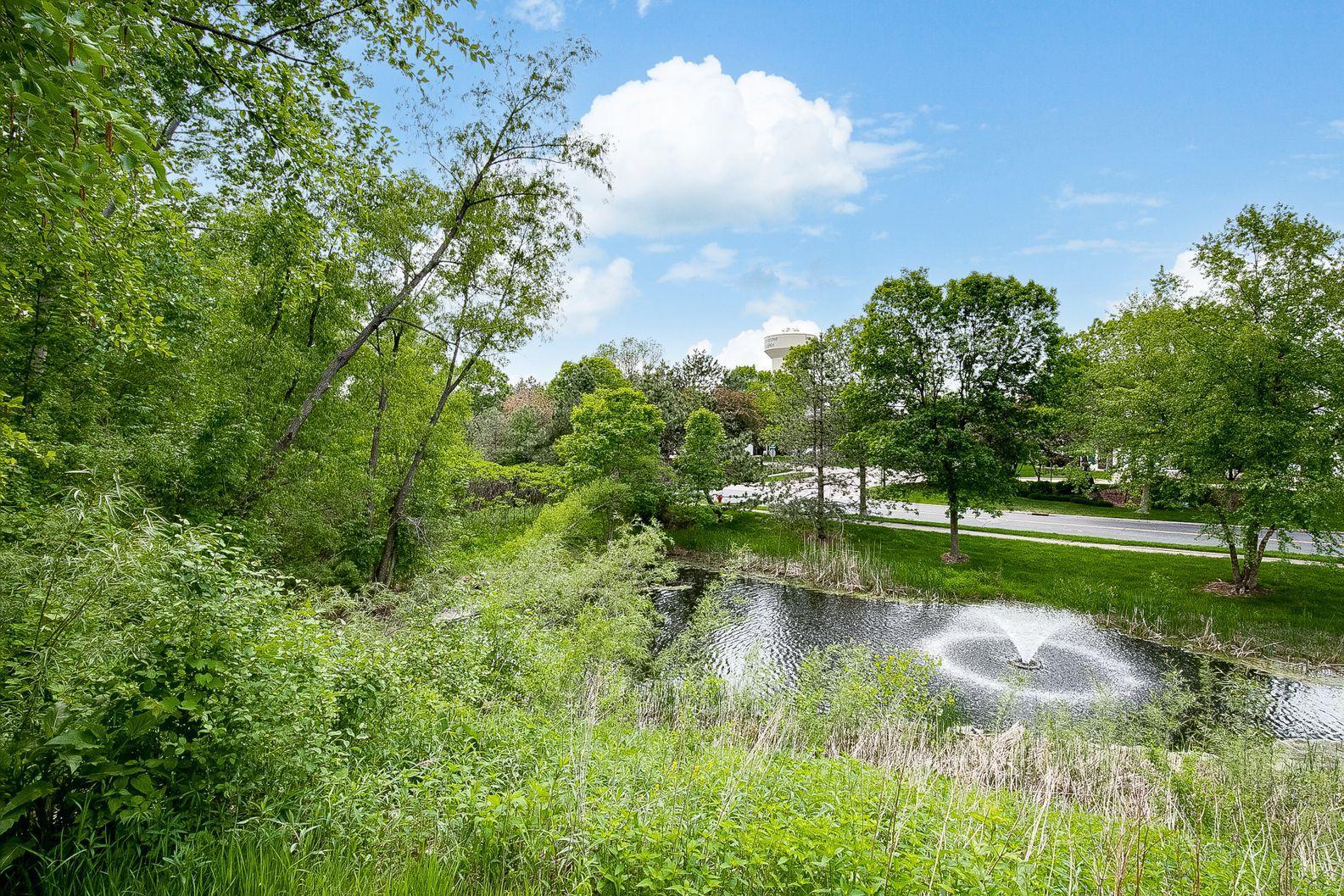 8809 Brunswick Path, Unit 1302 Inver Grove Heights, MN 55076 - Photo 33 of 41 Gallery Image 33