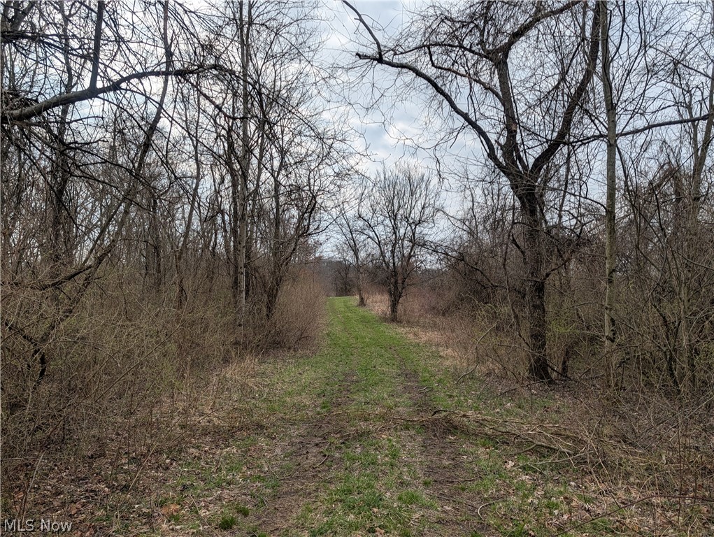 39000 Lees Run Road Cadiz, OH 43907 - Photo 18 of 49
