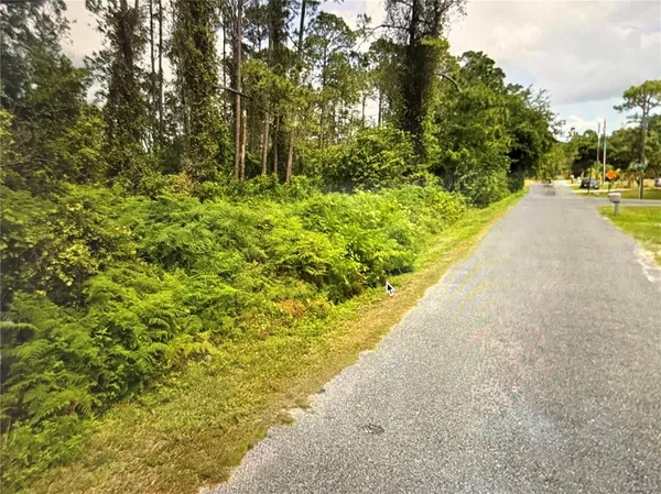 $50,000 | Fig Leaf St Street, St. Cloud, FL 34771