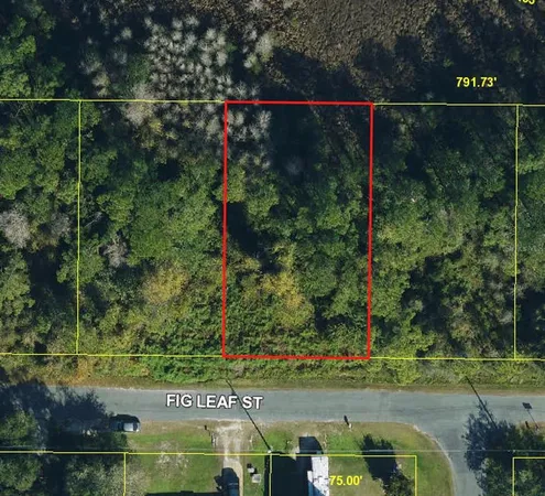 $50,000 | Fig Leaf St Street, St. Cloud, FL 34771
