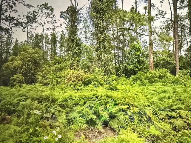 $50,000 | Fig Leaf St Street, St. Cloud, FL 34771