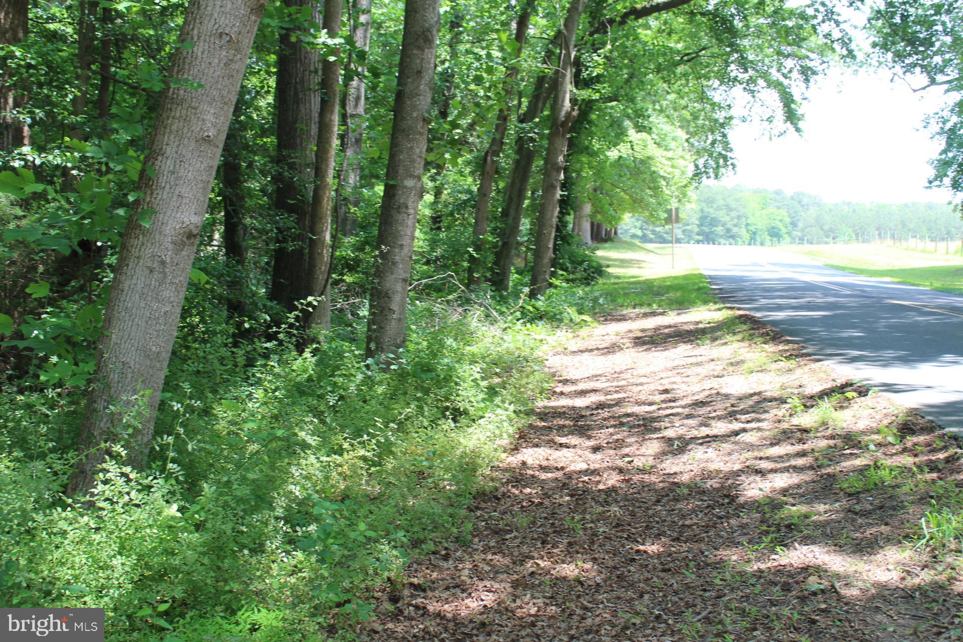 Lot 3 Jackson Road Salisbury, MD 21804 - Photo 11 of 20