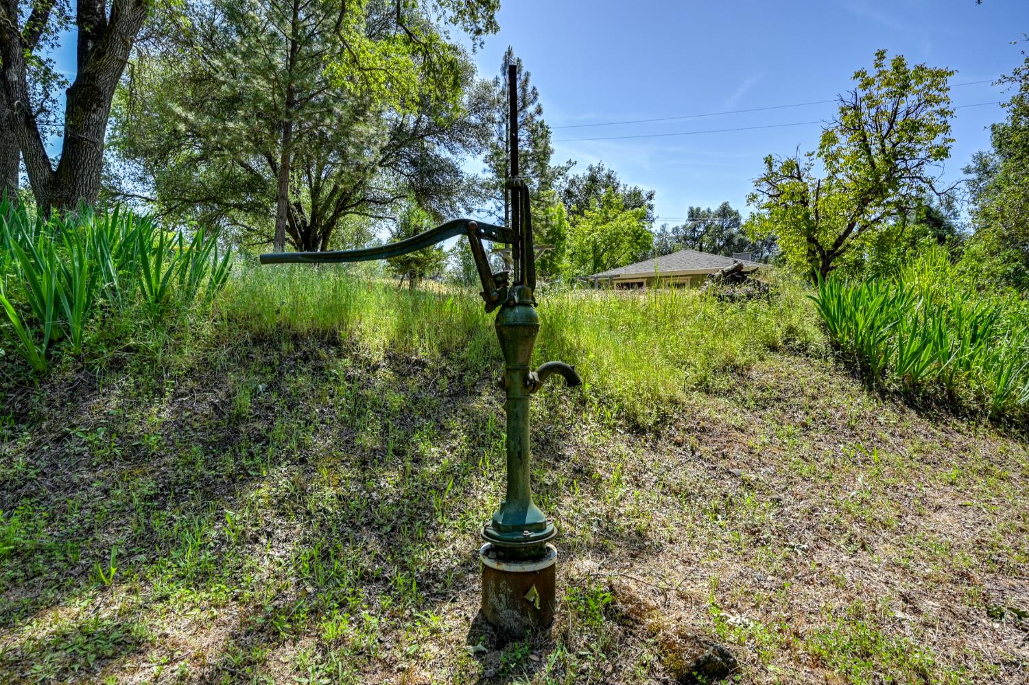 1147 Lotus Road Lotus, CA 95651 - Photo 64 of 65