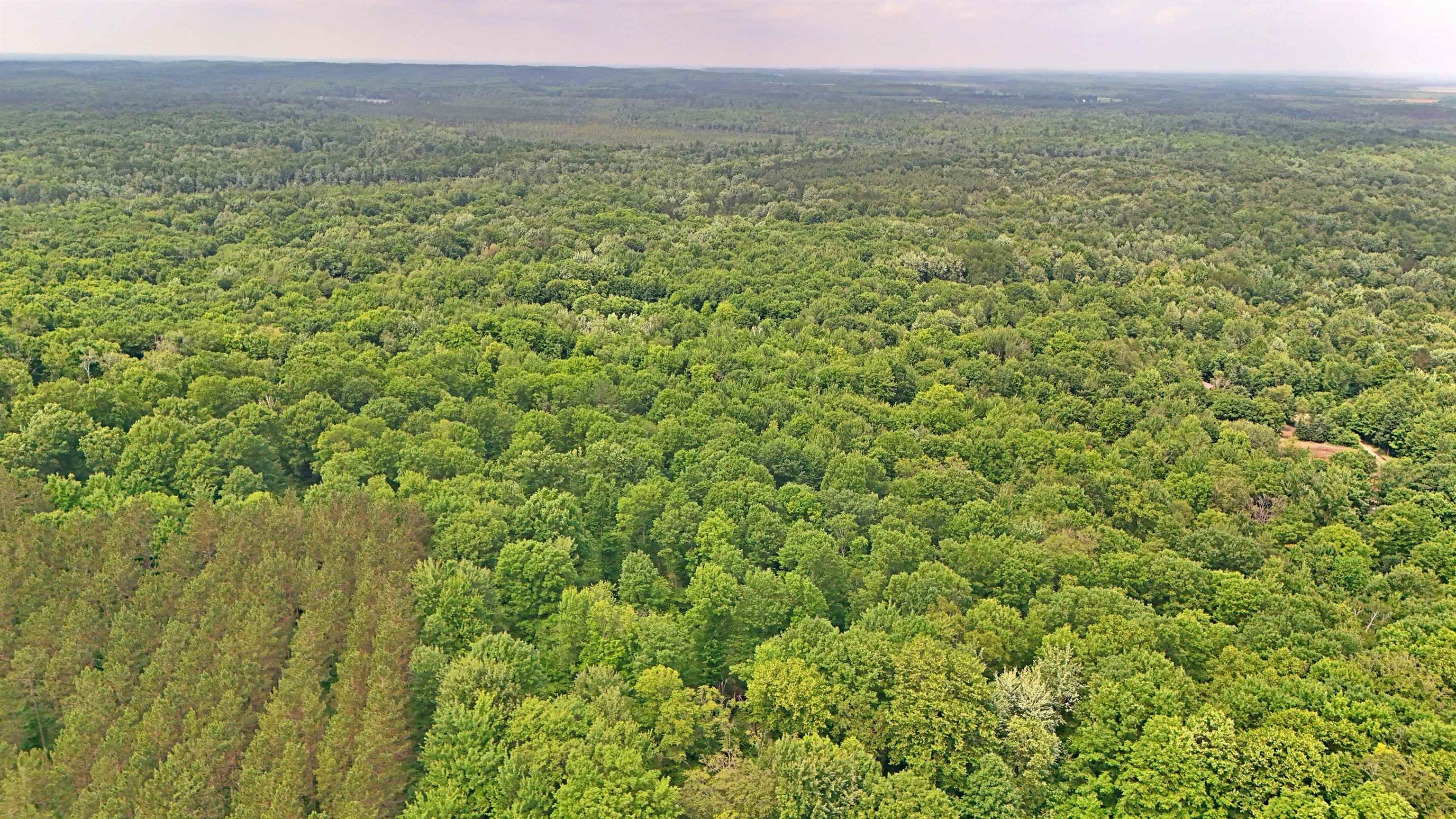 Vl 00 Cherry Hill Road Fife Lake, MI 49633 - Photo 10 of 26