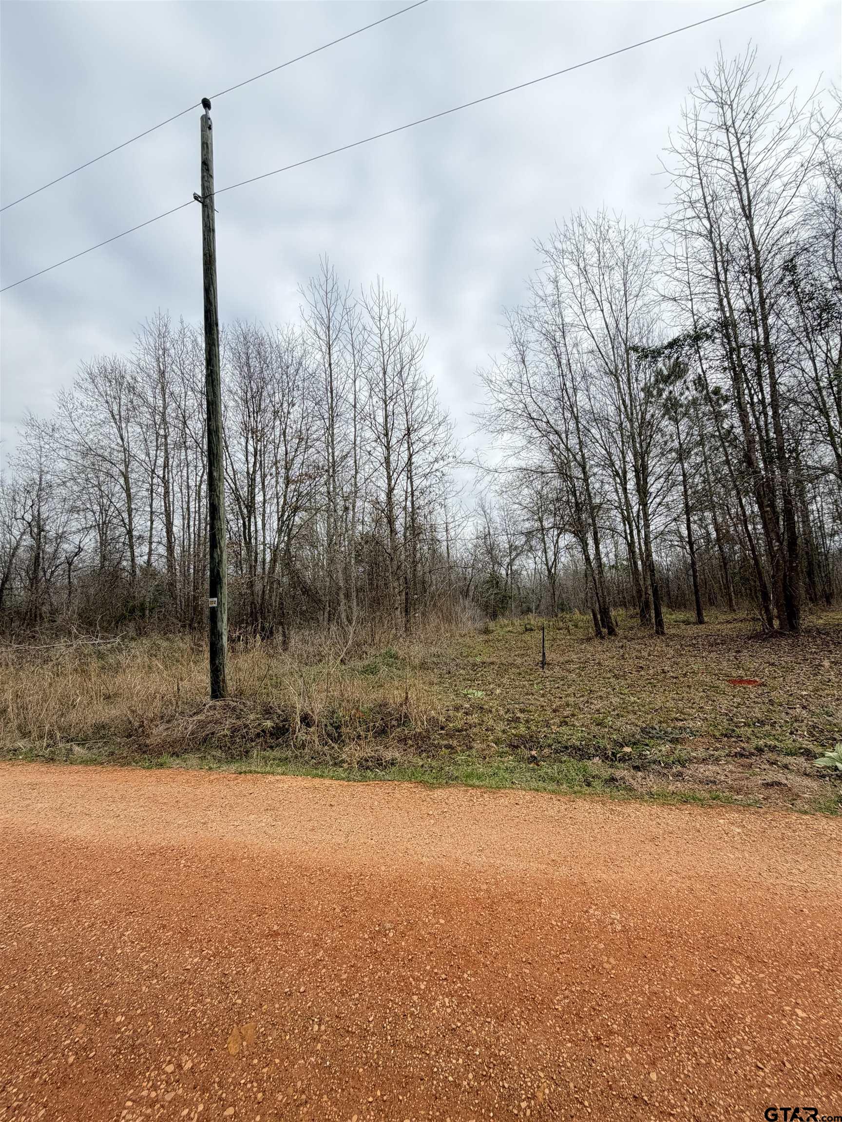 a view of a yard with a tree