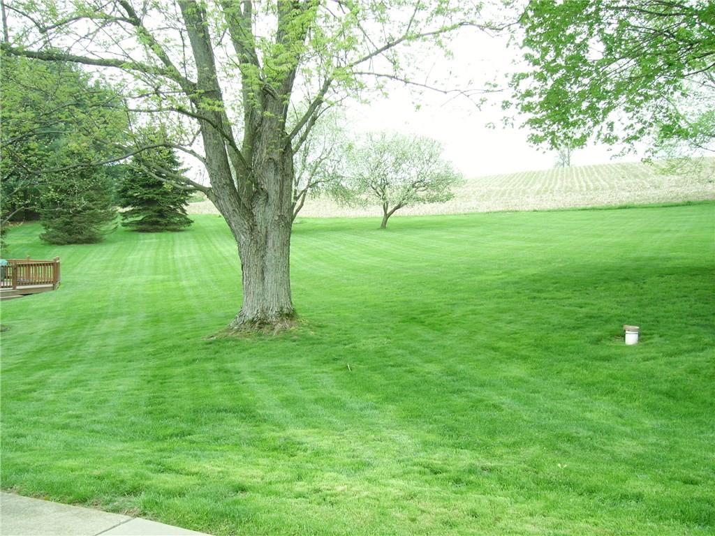 110 Parker Road Sarver, PA 16055 - Photo 14 of 17 Back yard with lush grass and beautiful trees. Swimming pool with decking is to left.