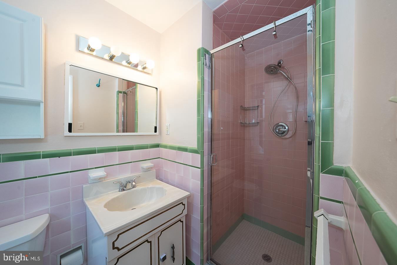 8207 Marion Road Elkins Park, PA 19027 - Photo 39 of 55 main bathroom with stall shower