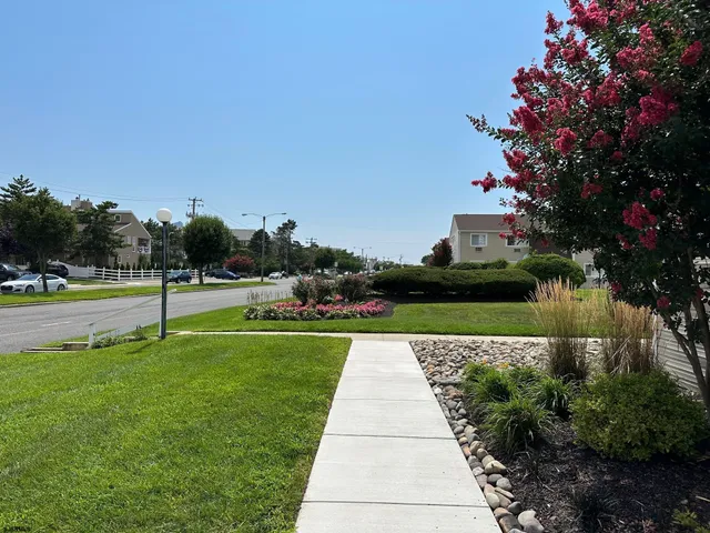 a view of green field