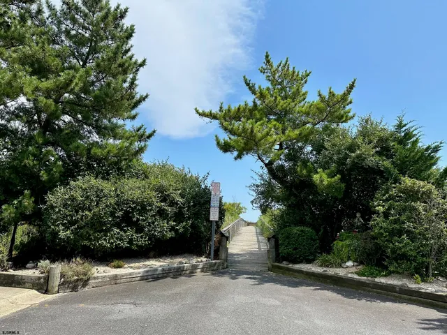 a plant is in front of a building