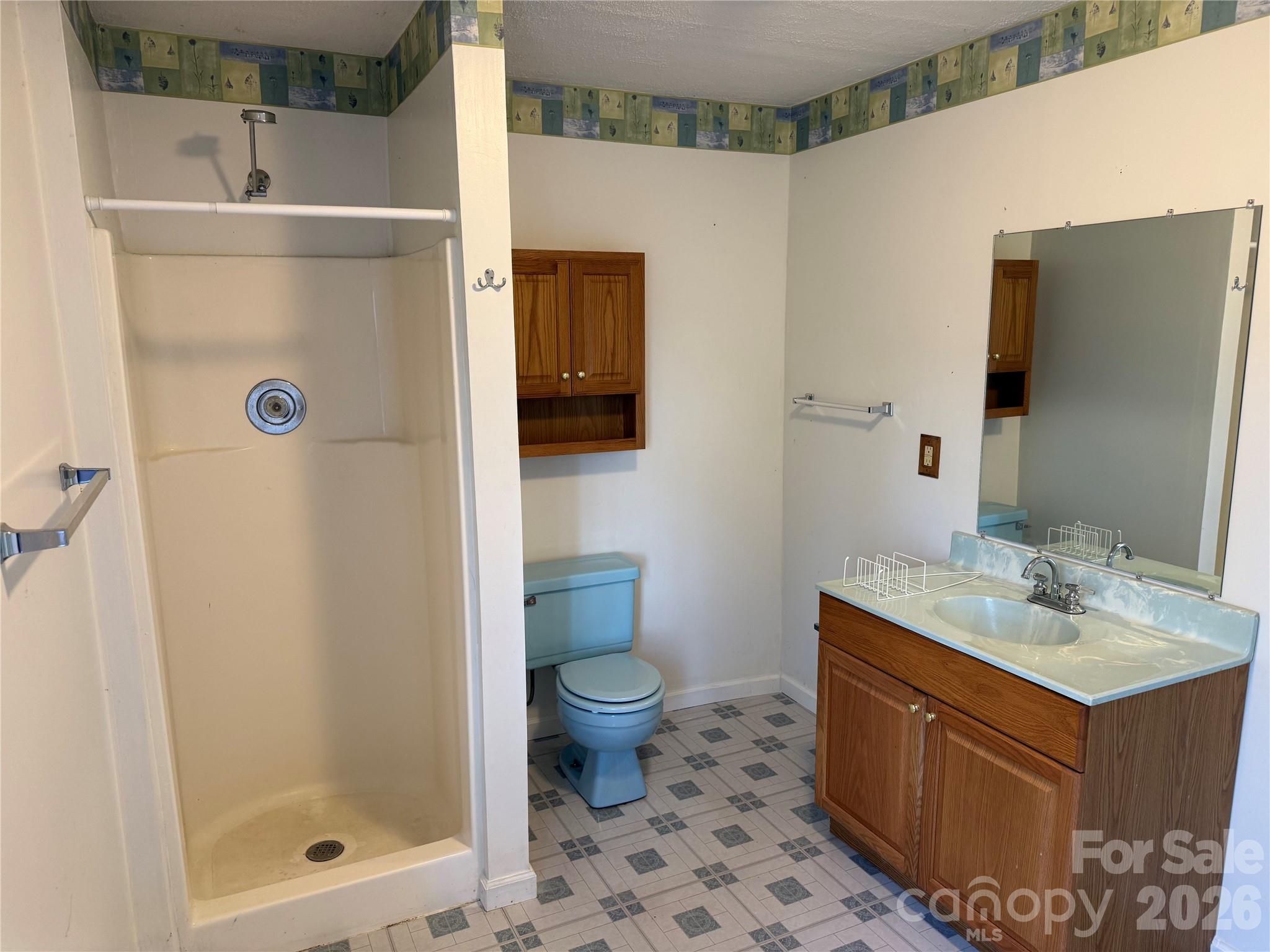 628 Hidden View Loop Marion, NC 28752 - Photo 33 of 44 a bathroom with a sink a toilet and shower