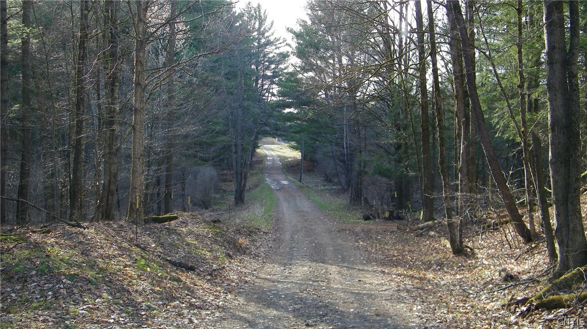 Lot#3 Salisbury Road Pulaski, NY 13142 - Photo 3 of 4