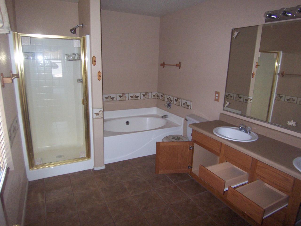 3374 South Chaparral Road Apache Junction, AZ 85119 - Photo 8 of 12 MASTER BATHROOM