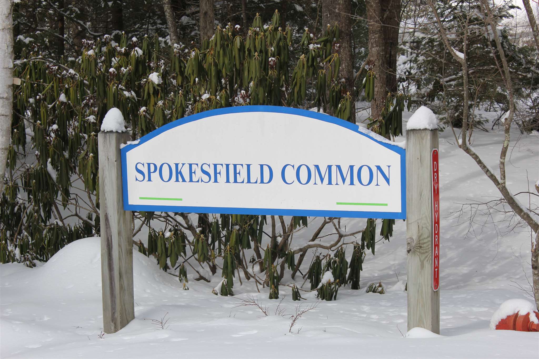 60 Heard Road Sandwich, NH 03227 - Photo 15 of 15