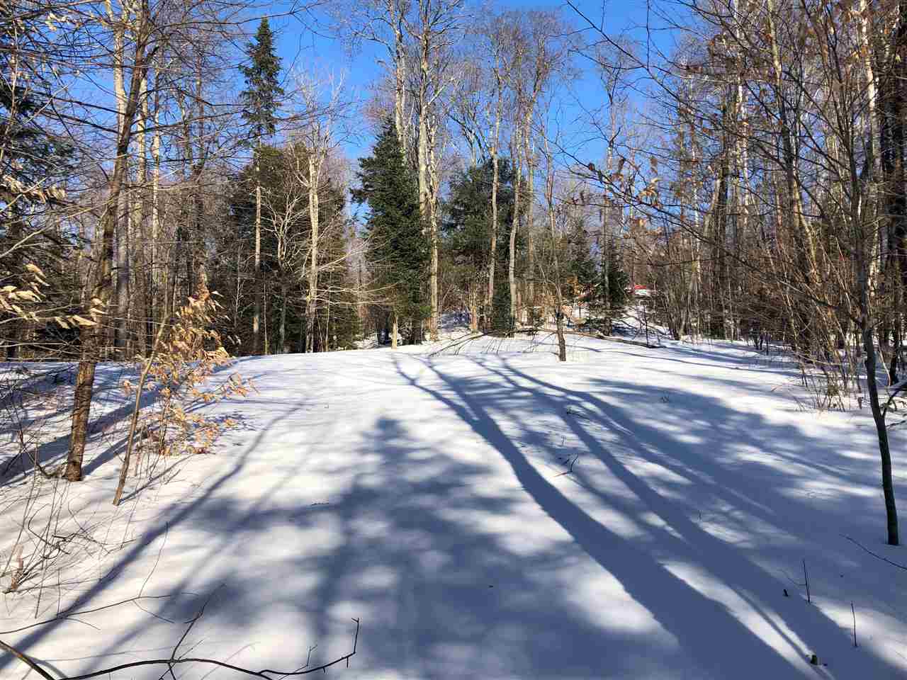 1609 Freeman Brook Road Mount Holly, VT 05738 - Photo 11 of 20