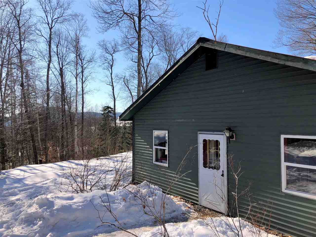 1609 Freeman Brook Road Mount Holly, VT 05738 - Photo 3 of 20