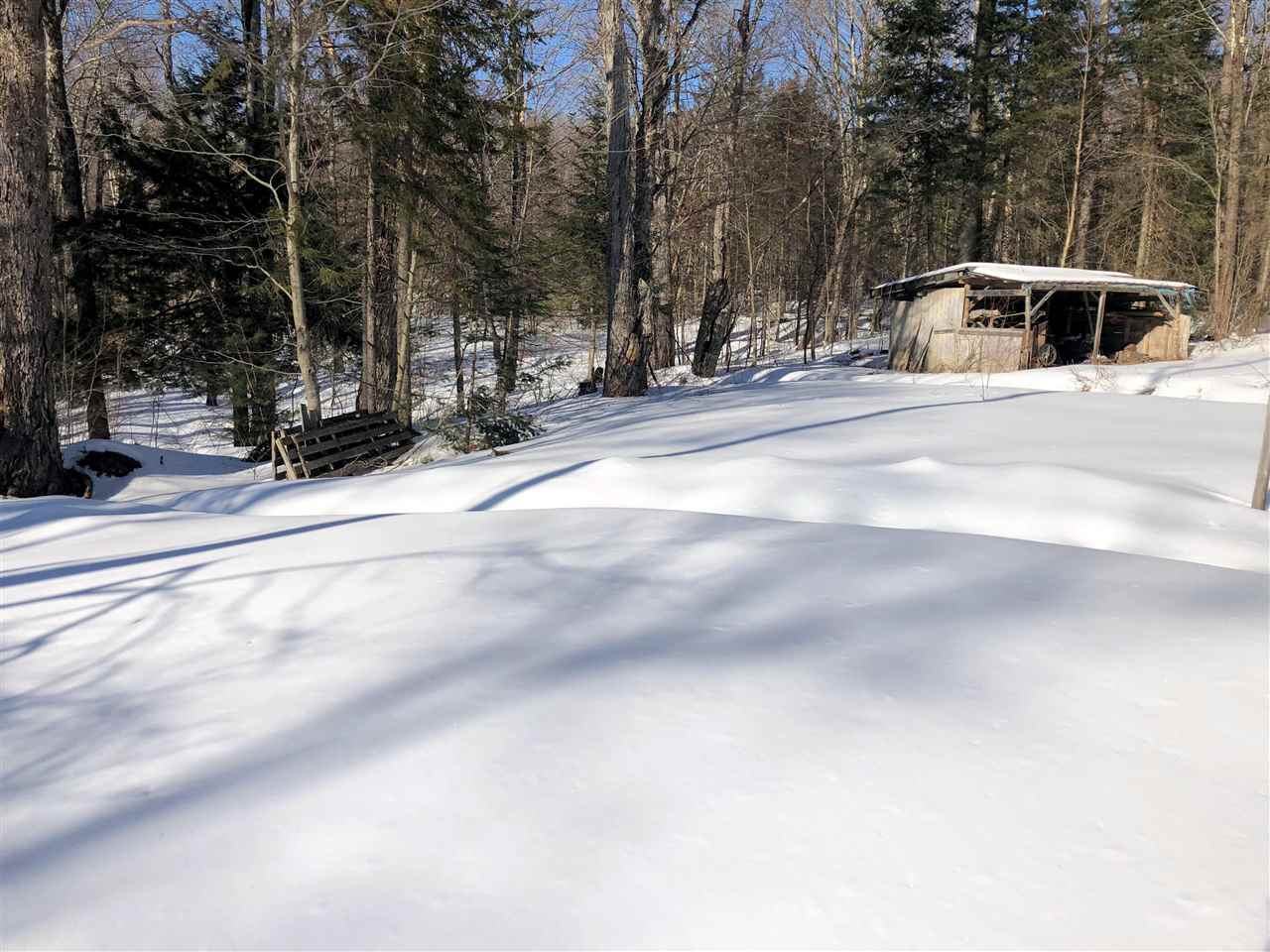 1609 Freeman Brook Road Mount Holly, VT 05738 - Photo 5 of 20