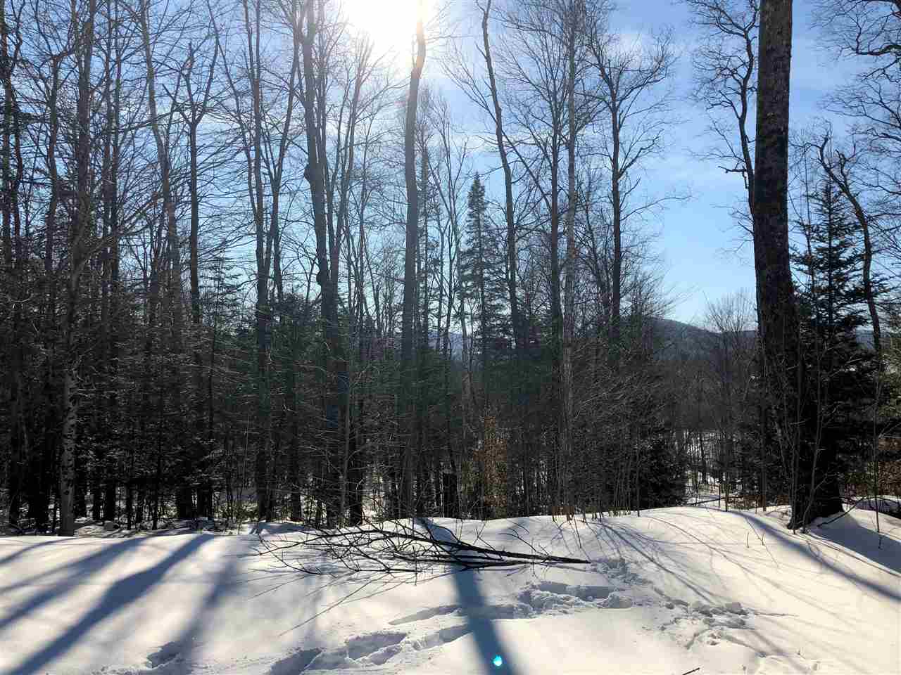 1609 Freeman Brook Road Mount Holly, VT 05738 - Photo 6 of 20