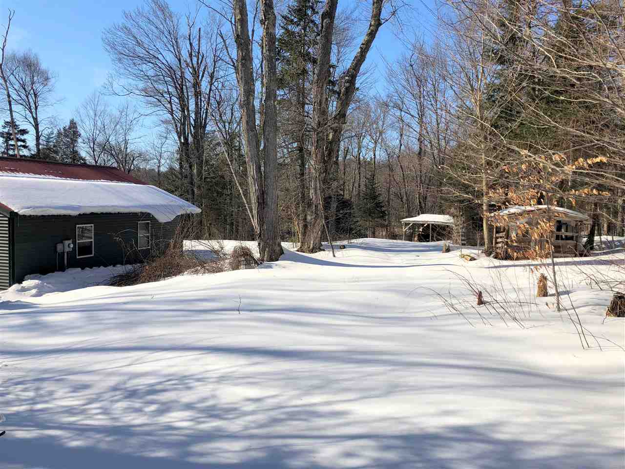 1609 Freeman Brook Road Mount Holly, VT 05738 - Photo 7 of 20